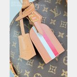 Louis Vuitton Alma MM Soft Celebration Monogram N30049 Bags